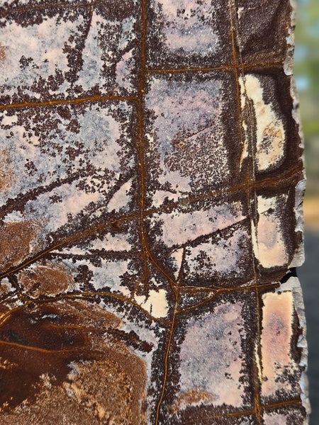 Polished Outback Jasper  OJ201