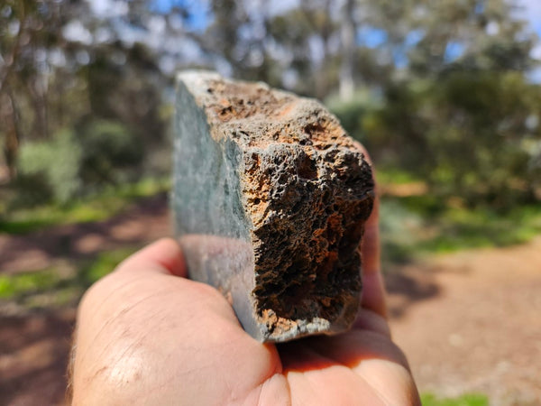 Polished fossil stromatolite. Alcheringa narrina. ALC159