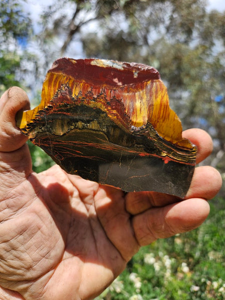 Polished Tiger Eye slab TE481
