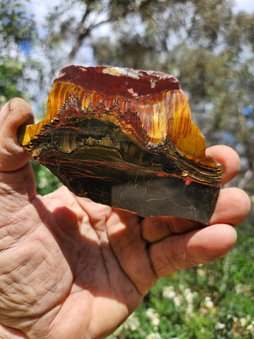 Polished Tiger Eye slab TE481