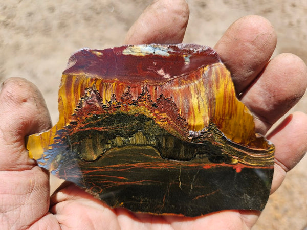 Polished Tiger Eye slab TE481
