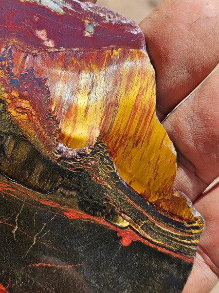 Polished Tiger Eye slab TE481