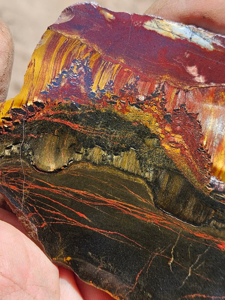 Polished Tiger Eye slab TE481