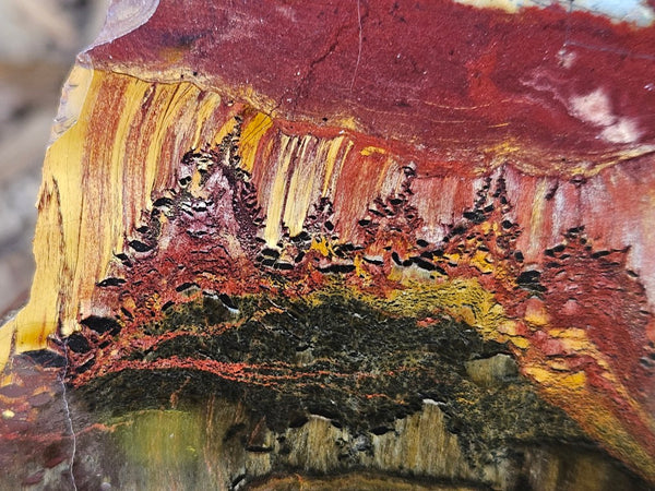 Polished Tiger Eye slab TE481