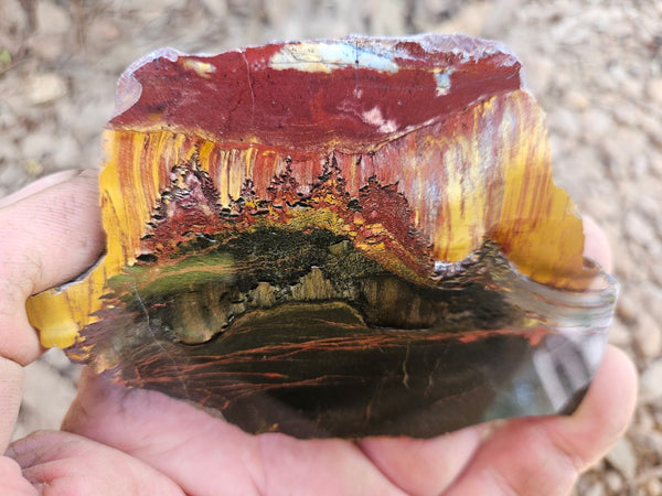 Polished Tiger Eye slab TE481