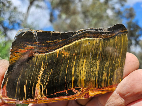 Polished Tiger Eye slab TE482