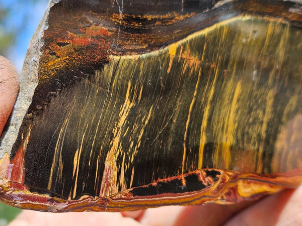 Polished Tiger Eye slab TE482