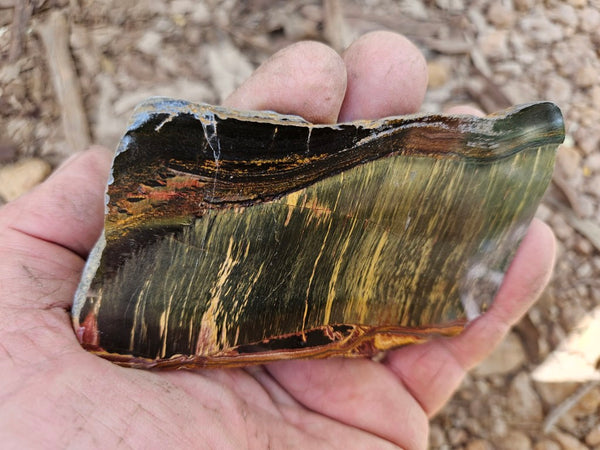 Polished Tiger Eye slab TE482