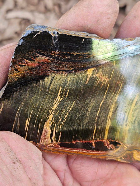 Polished Tiger Eye slab TE482