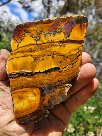 Polished Tiger Eye slab TE483