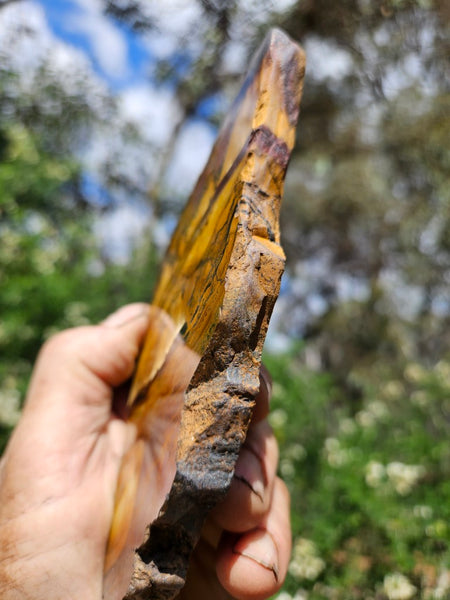Polished Tiger Eye slab TE483