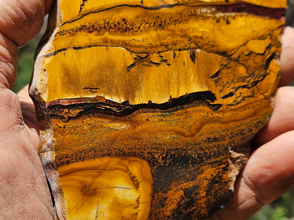 Polished Tiger Eye slab TE483
