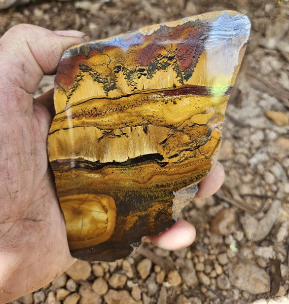 Polished Tiger Eye slab TE483