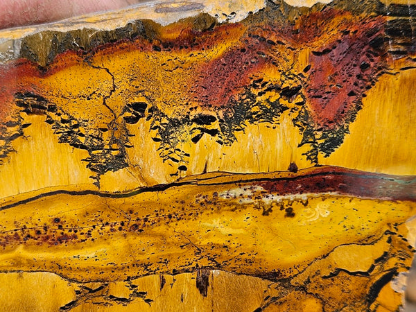 Polished Tiger Eye slab TE483