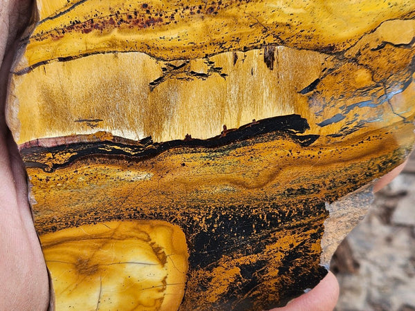 Polished Tiger Eye slab TE483