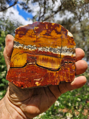 Polished Tiger Eye slab TE484