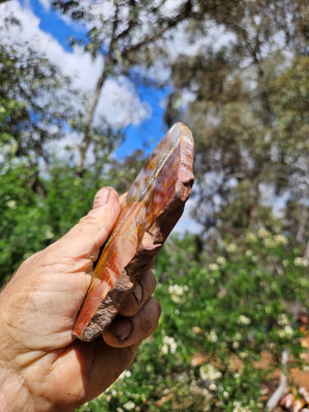 Polished Tiger Eye slab TE484