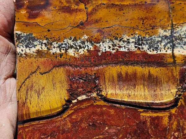 Polished Tiger Eye slab TE484