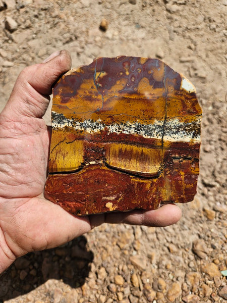 Polished Tiger Eye slab TE484