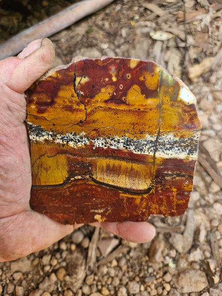 Polished Tiger Eye slab TE484