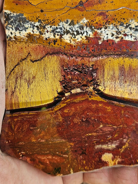 Polished Tiger Eye slab TE484