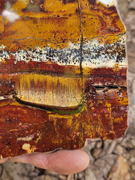 Polished Tiger Eye slab TE484