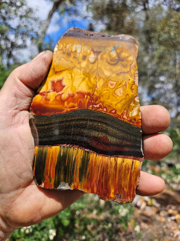 Polished Tiger Eye slab TE485