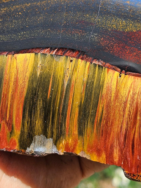 Polished Tiger Eye slab TE485