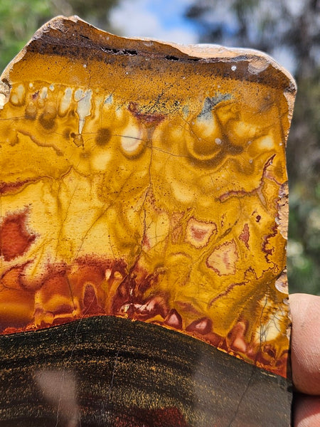Polished Tiger Eye slab TE485