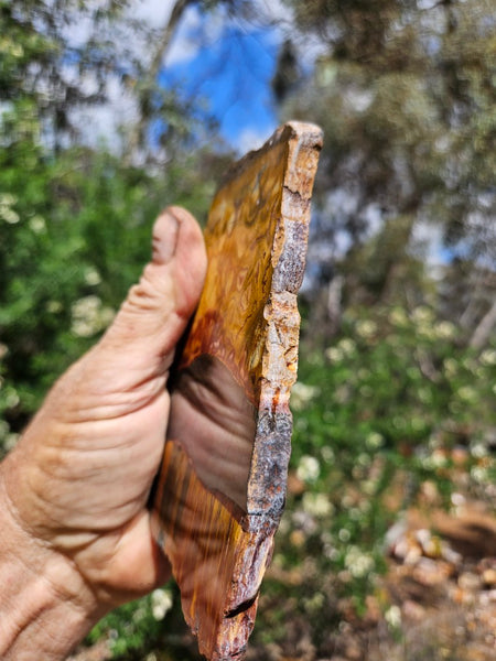 Polished Tiger Eye slab TE485