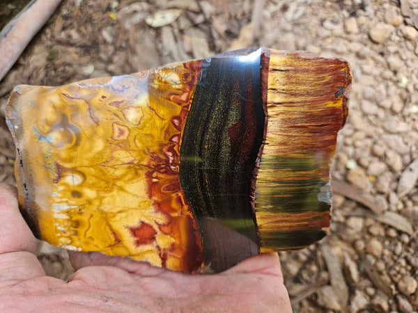 Polished Tiger Eye slab TE485