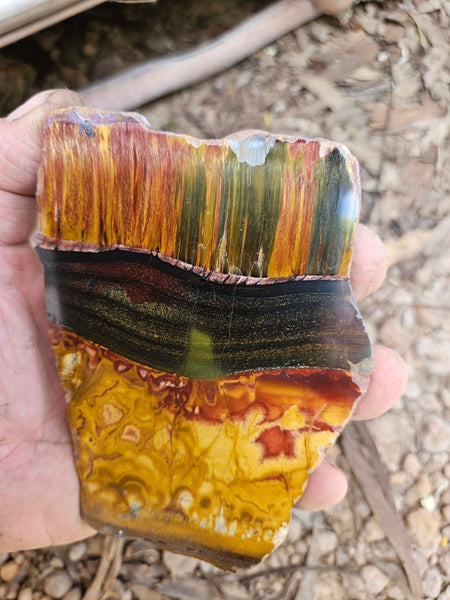 Polished Tiger Eye slab TE485