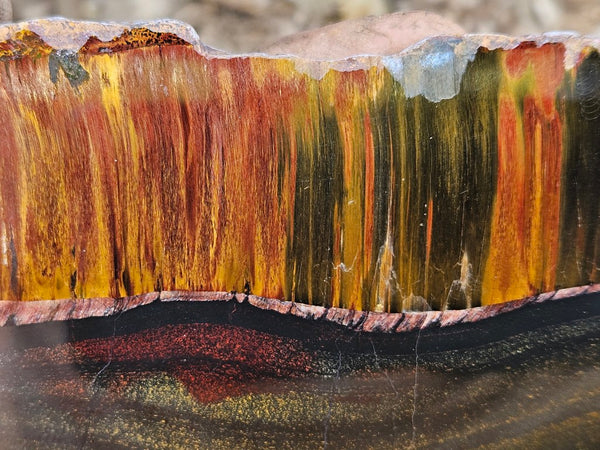Polished Tiger Eye slab TE485