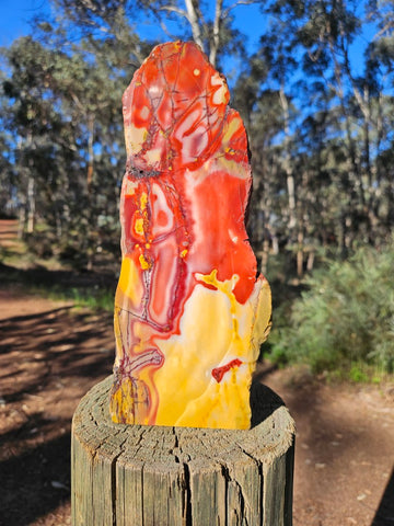 Polished Mookaite  MK560