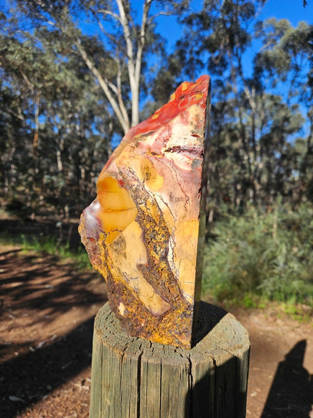 Polished Mookaite  MK560