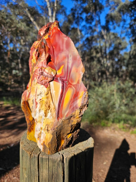 Polished Mookaite  MK560