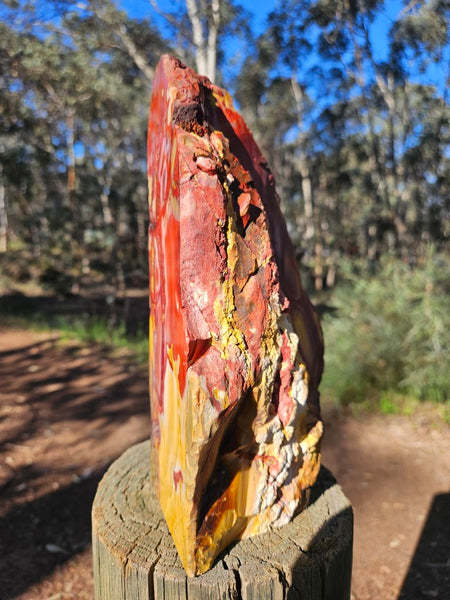Polished Mookaite  MK560