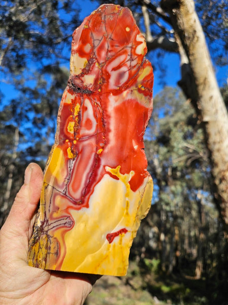 Polished Mookaite  MK560