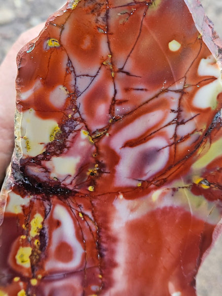 Polished Mookaite  MK560