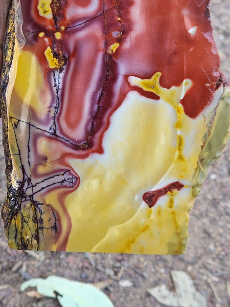Polished Mookaite  MK560