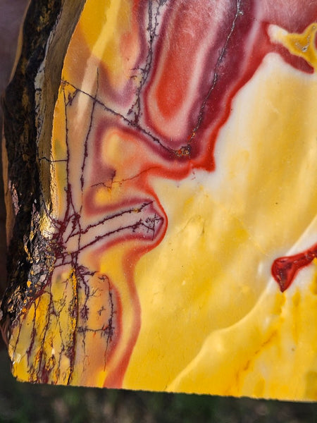 Polished Mookaite  MK560