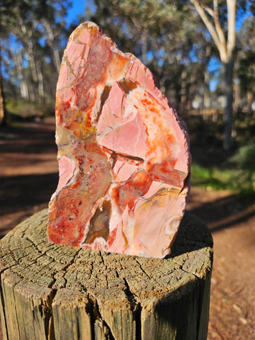 Polished Pink Opal  POP206