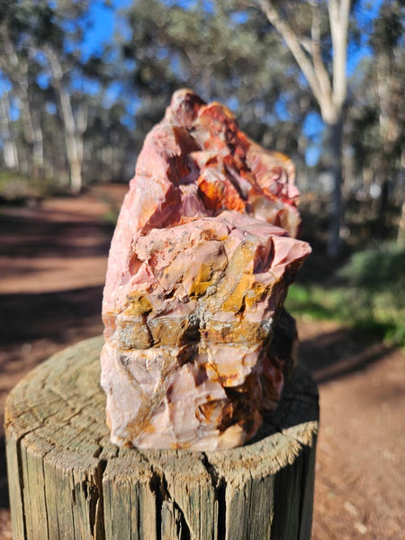 Polished Pink Opal  POP206