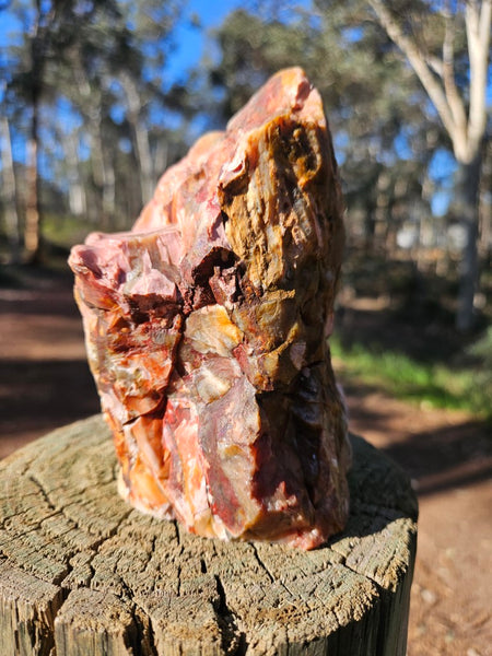 Polished Pink Opal  POP206