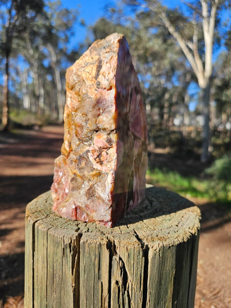 Polished Pink Opal  POP206