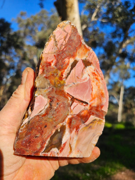 Polished Pink Opal  POP206