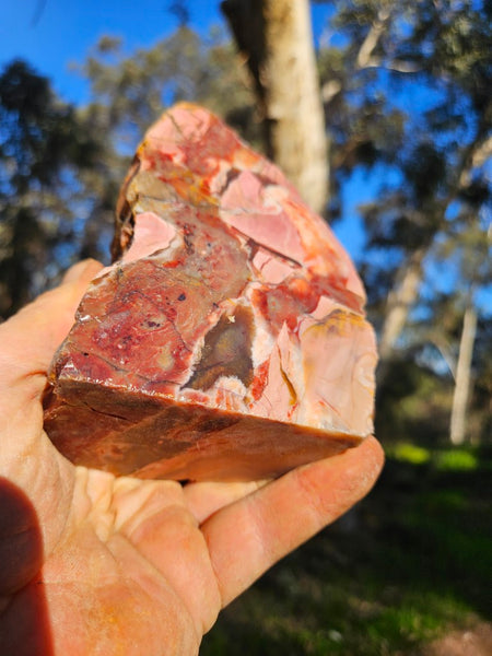 Polished Pink Opal  POP206