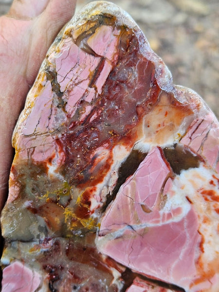 Polished Pink Opal  POP206