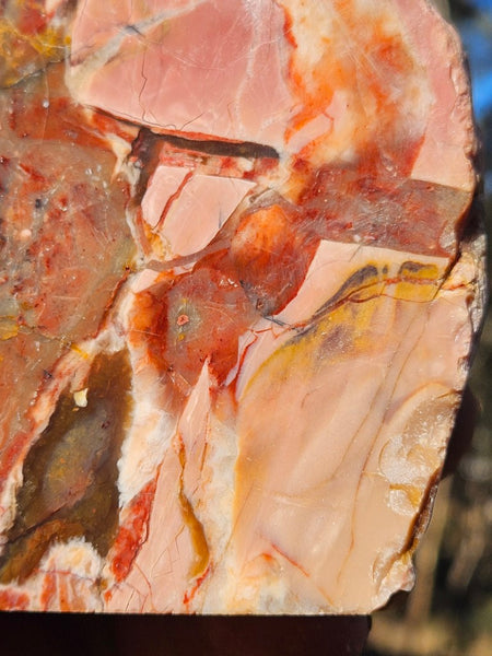 Polished Pink Opal  POP206