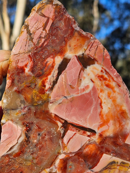 Polished Pink Opal  POP206